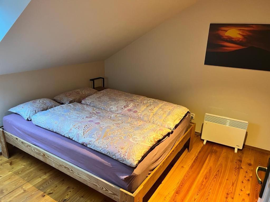 Duzy Apartament Duszniki-Zdroj ドゥシュニキ・ズドルイ エクステリア 写真